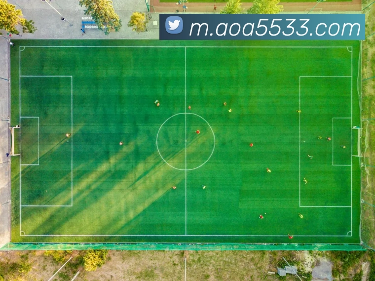 多彩内容专区